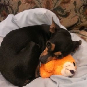 Meet your Posher, Cathy